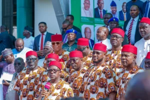 PDP governors