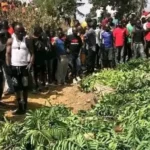 Diaspora group slams Plateau killings, demands action