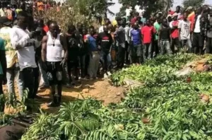 Diaspora group slams Plateau killings, demands action