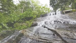 Scene from Gashaka Gumti National Park