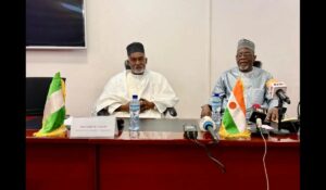 FG, Niger Republic hold talks