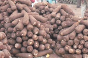 Yam