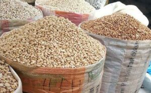 beans-1-605×375