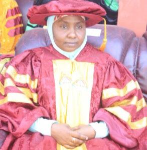 Hajiya Nafisa Barau Suleiman