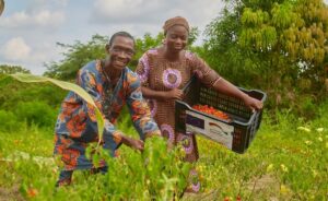 Nigerian farmers