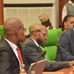 Reps commence probe of N1.12trn Anchor Borrowers fund, others