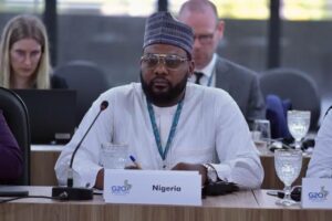 Director-General and Chief Executive Officer of the Energy Commission of Nigeria (ECN) Engr. Mustapha Abdullahi