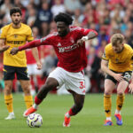 ola-aina-forest-action-vs-wolves