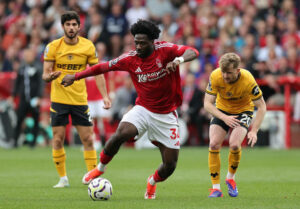 ola-aina-forest-action-vs-wolves