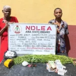 NDLEA arrests octogenarians, intercepts N3.2bn opioids, uncovers AK-47 in maize sack