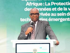 NDPC National Commissioner Dr Vincent Olatunji