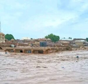 Mokwa flood: 151 dead, 3,018 displaced – NISEMA