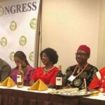 World Igbo Congress