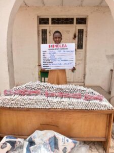 NDLEA seizes N3.4bn opioids in Lagos and Port Harcourt, intercepts 942 explosives for Zamfara