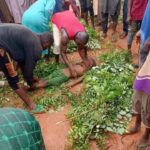 Mokwa flood: 151 dead, 3,018 displaced – NISEMA