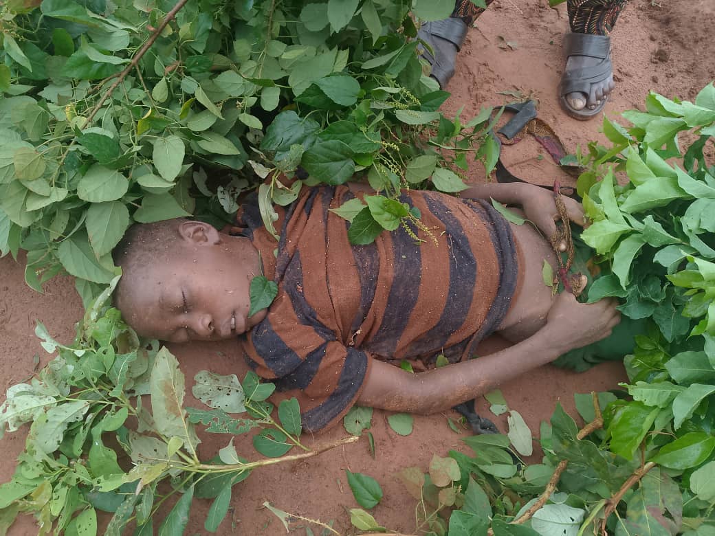 Niger: 30 killed, houses submerged as flood rips through communities