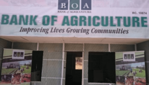Bank-of-Agriculture-1