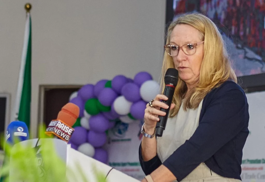 British High Commission to work with Nigeria on immigration