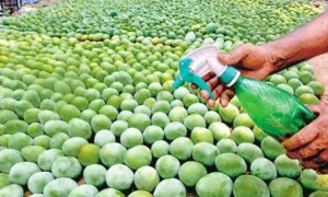 Chemically-Ripened-Fruits-Worry-Kashmiri-Families