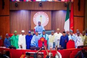 Senate moves to include local government representatives in FAAC