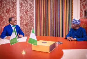 Presidency: Adesina no threat to Tinubu administration