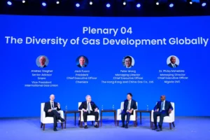 Nigeria LNG, WGC 2025, decarbonisation, LNG shipping, sustainable energy