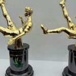 Nigeria-Pitch-Awards