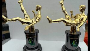Nigeria-Pitch-Awards