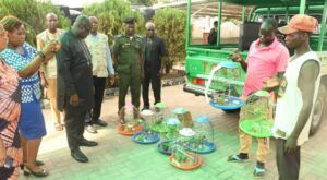 Three arrested in Abuja for illegal trade in endangered wildlife