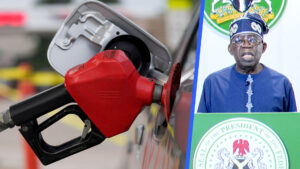 Tinubu-subsidy-web-0408