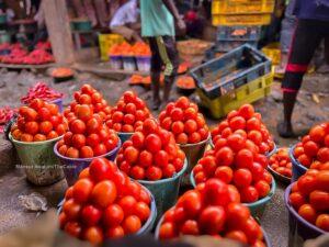 Tomato Ebola