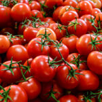 Tomato-Farmers-Call-for-Government-Intervention-to-Curb-Post-Harvest-Losses.-