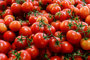 Tomato-Farmers-Call-for-Government-Intervention-to-Curb-Post-Harvest-Losses.-