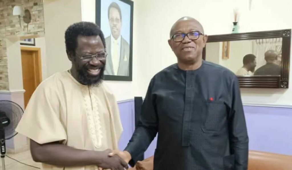 Dele Farotimi and Peter Obi