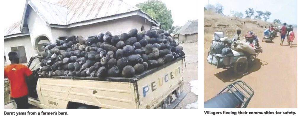 Yam