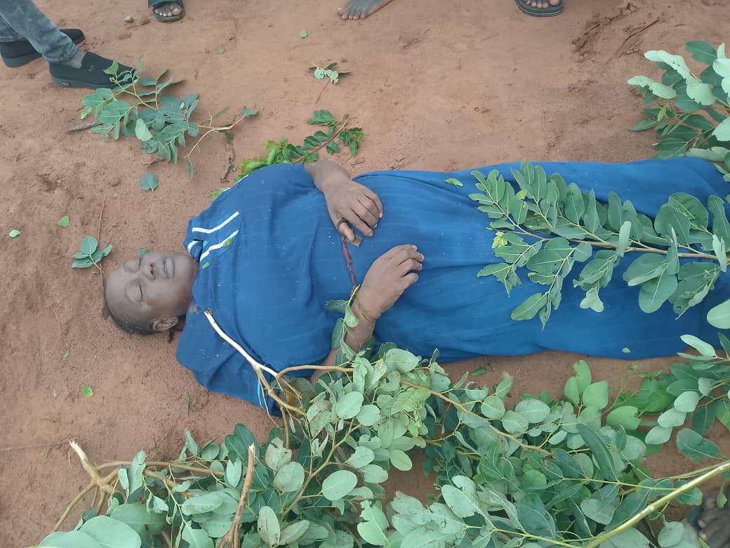 Niger: 30 killed, houses submerged as flood rips through communities