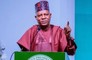Vice President Kashim Shettima