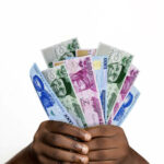 naira notes