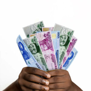 naira notes