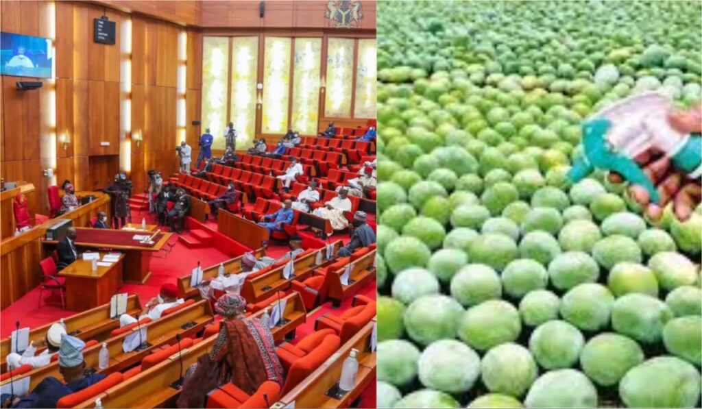 senate