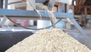 Rice mill
