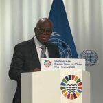 Minister of Marine and Blue Economy, Adegboyega Oyetola