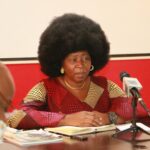 ActionAid Nigeria Country Director Ene Obi