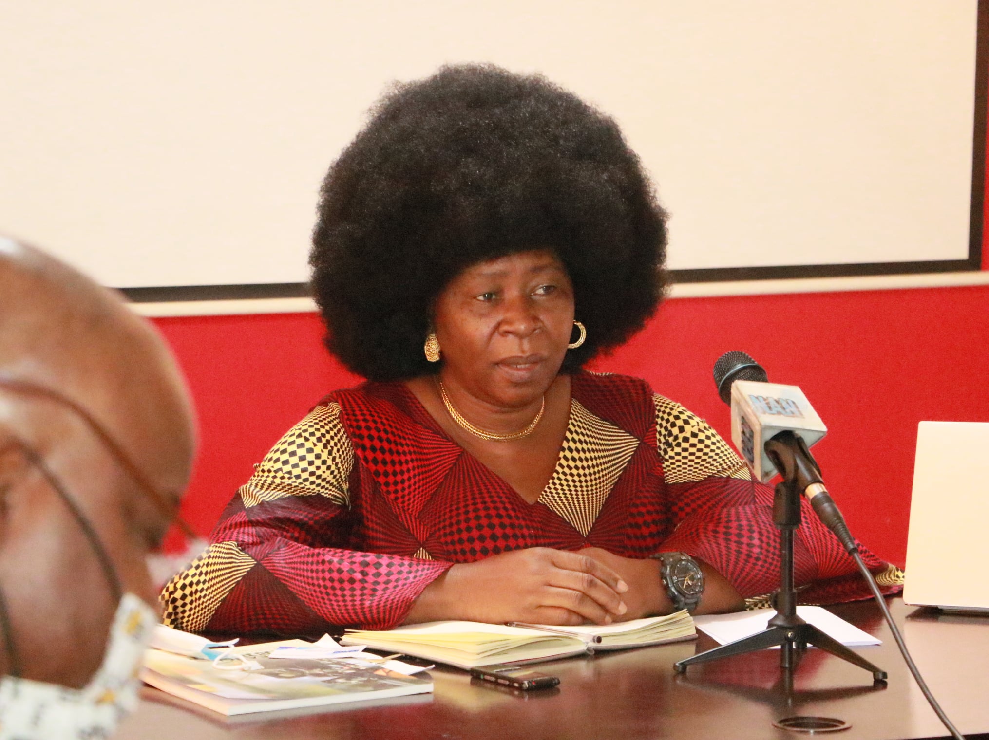 ActionAid Nigeria Country Director Ene Obi