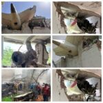 Over 200 feared dead as London-bound Air India flight crashes into hostel in Ahmedabad