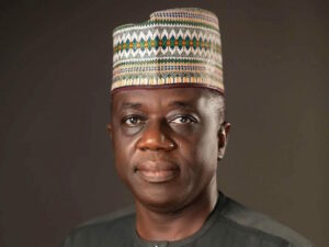 Shamseldeen Ogunjimi