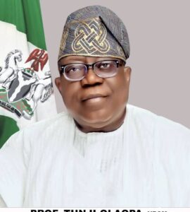 Chairman, Federal Civil Service Commission, Tunji Olaopa