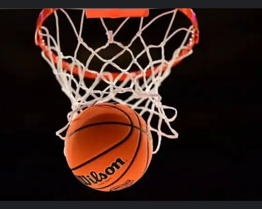Webber Engineering to add flair to FIBA Africa Zone 3 Academies tournament