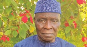 Cornelius-Adebayo-1045×588-1-735×400