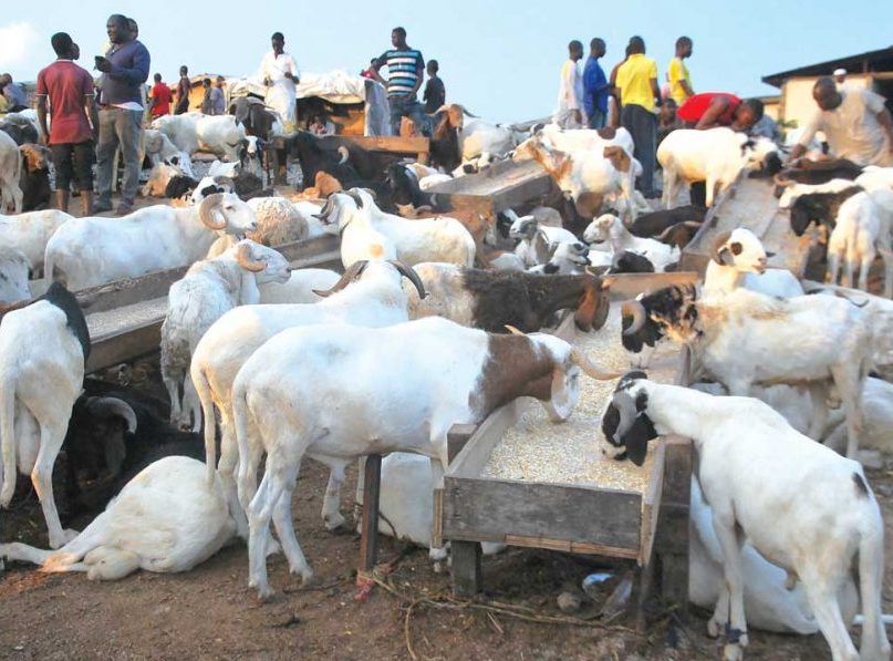 Eid-El-Kabir-Ram-e1687889420835